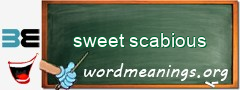 WordMeaning blackboard for sweet scabious